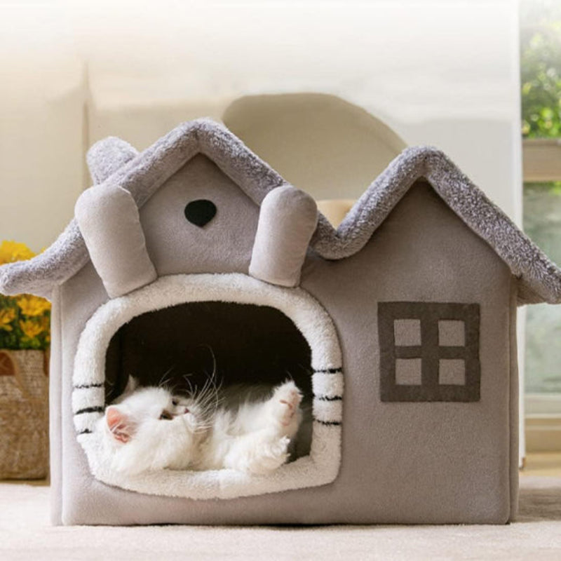 maison chat blanc pattes en lair