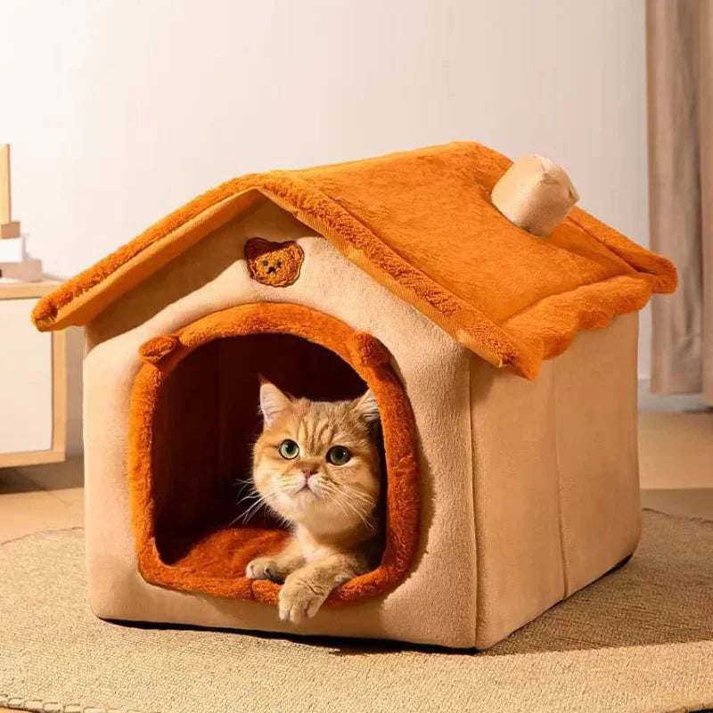 maison chat marron chat roux