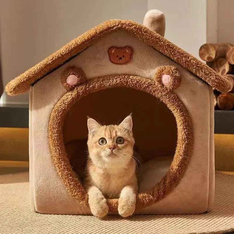maison chat marron chatton eveille