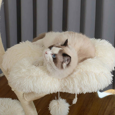 arbre a chat 3 niveaux bois coussin peluche