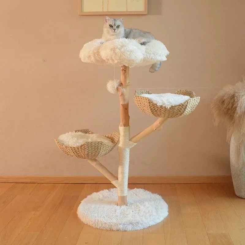 arbre a chat 3 niveaux chat sommet