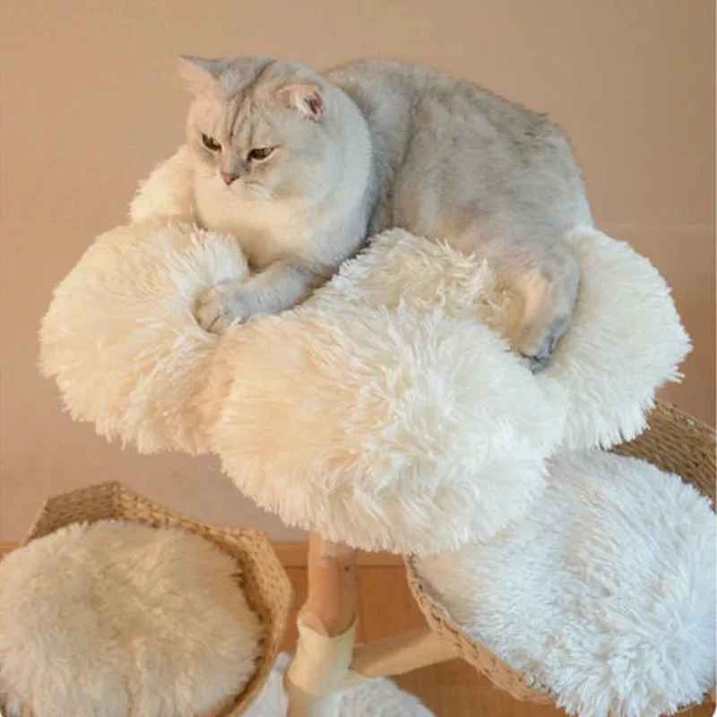 arbre a chat 3 niveaux coussins fleurs