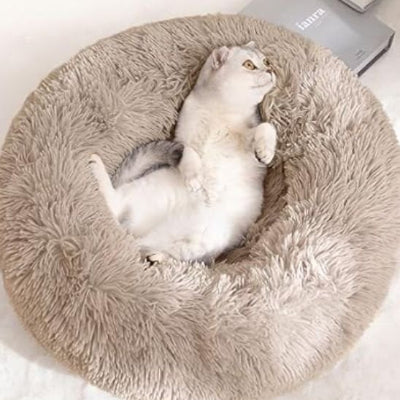 coussin pour chat beige chat dos
