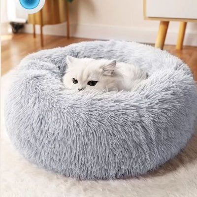 coussin pour chat gris chat blanc yeux verts