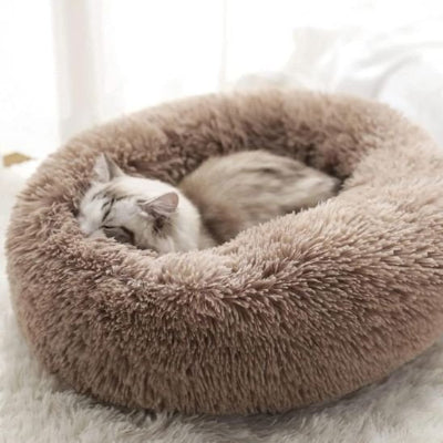 coussin pour chat marron chat endormie