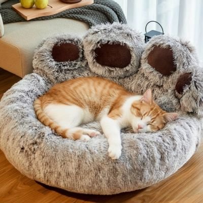 coussin pour chat marron chat roux