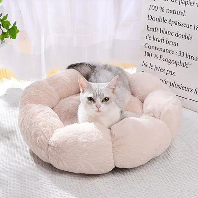 coussin pour chat rose pale fleur