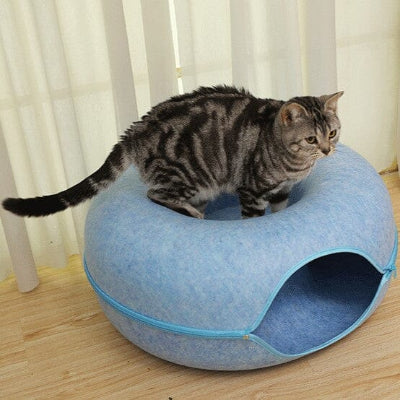lit pour chat tunnel bleu chat dessus
