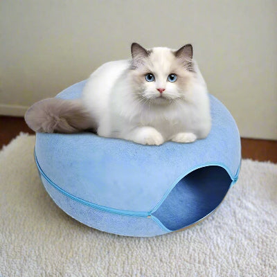 lit pour chat tunnel bleu gros chat blanc