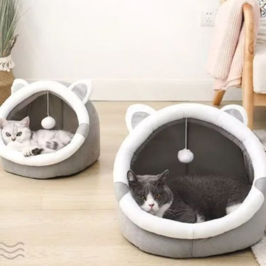 maison chat dome gris deux chats