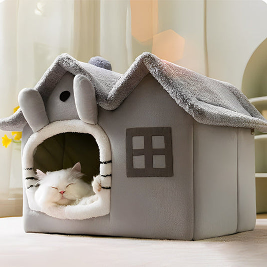 maison chat dort paisiblement