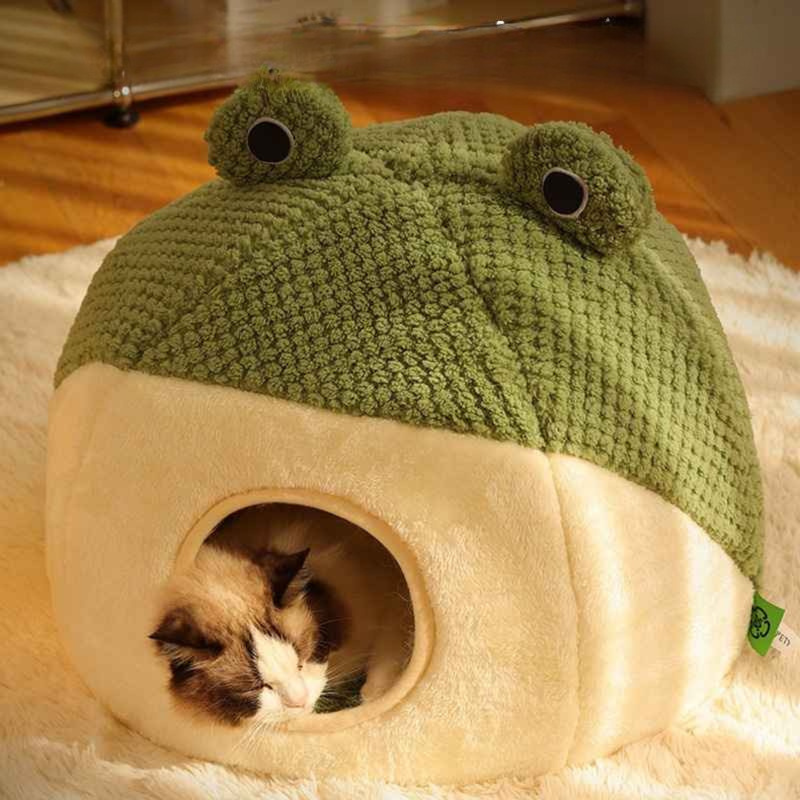 maison chat grenouille dodo lumiere