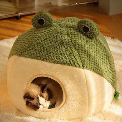 maison chat grenouille dodo lumiere