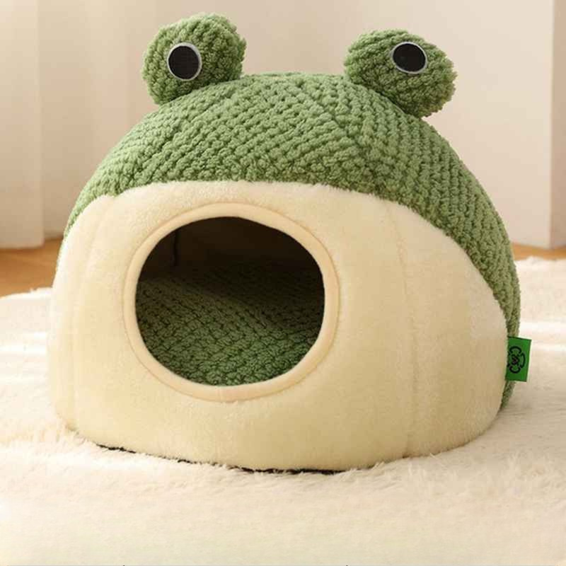 maison chat grenouille sans chat