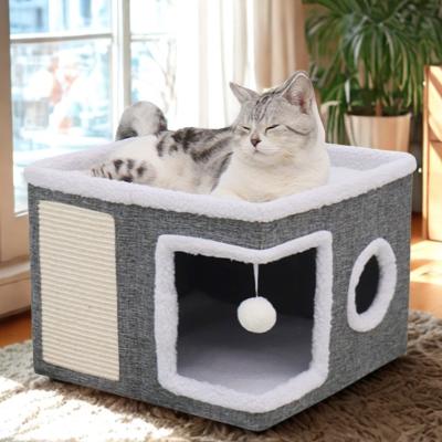maison chat grise chat fait sieste decor ensoleille