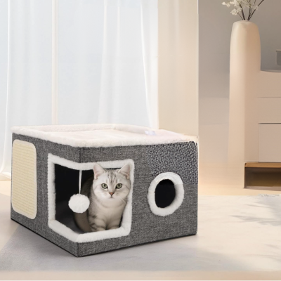 maison chat grise chaton interieur maison