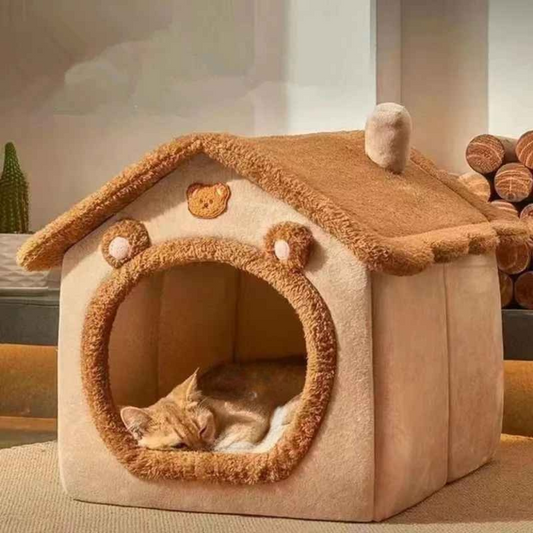 maison chat marron dodo chat roux