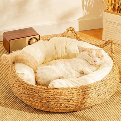 panier osier chat coussin blanc chat sieste