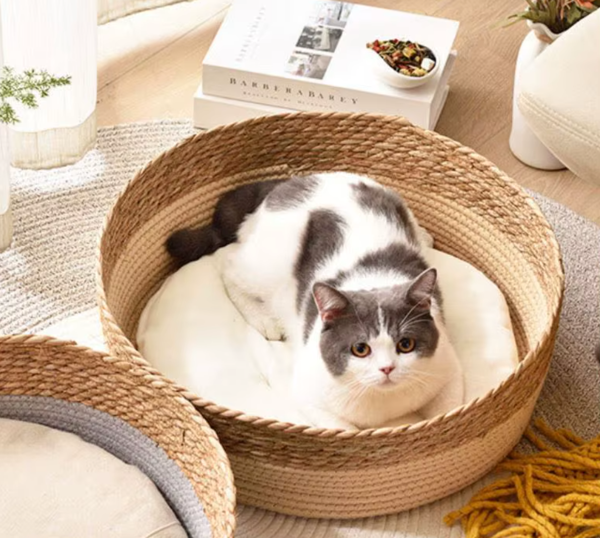 panier pour chat avec petit chat fatigue