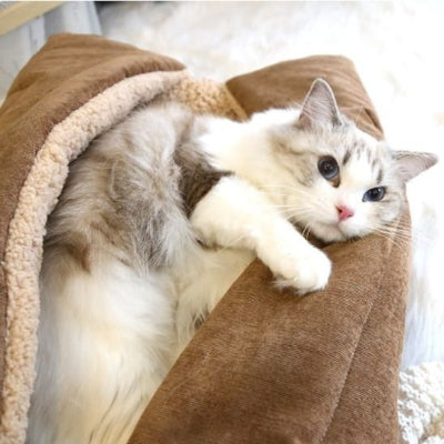 panier pour chat blanc interieur