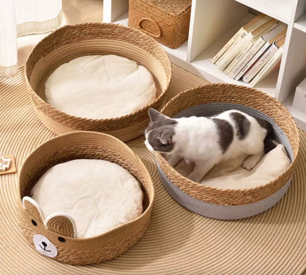 trois panier pour chat avec un chat blanc et gris